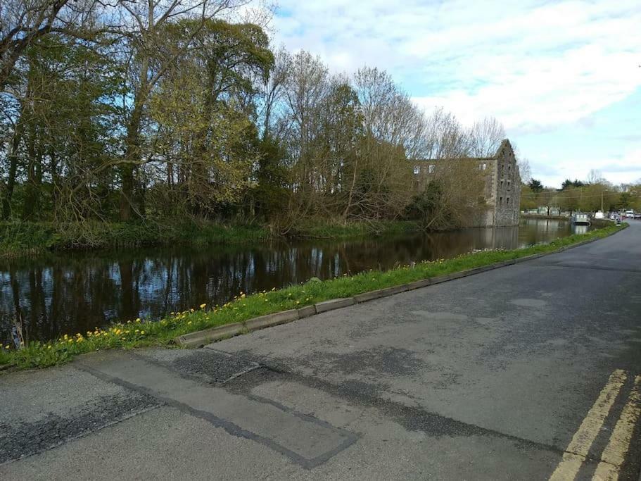 Small Town House, Barrow Lane, Bagenalstown, Carlow Apartment Exterior photo